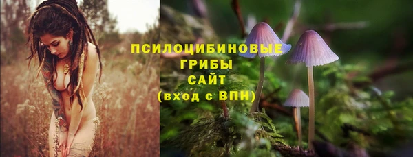 соль курить ск Михайловка