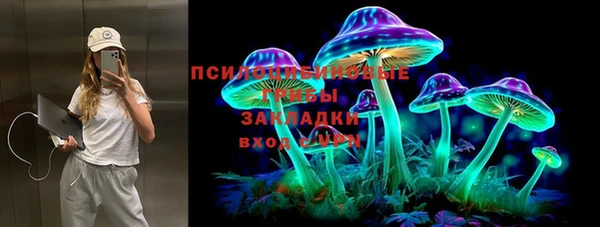 ECSTASY Михайлов