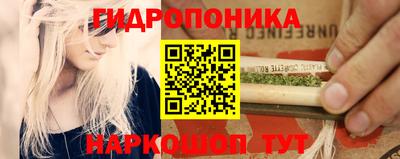 бошки Гатчина