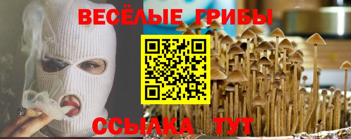 Новоуральск  Псилоцибиновые грибы Psilocybe  Вход с VPN 